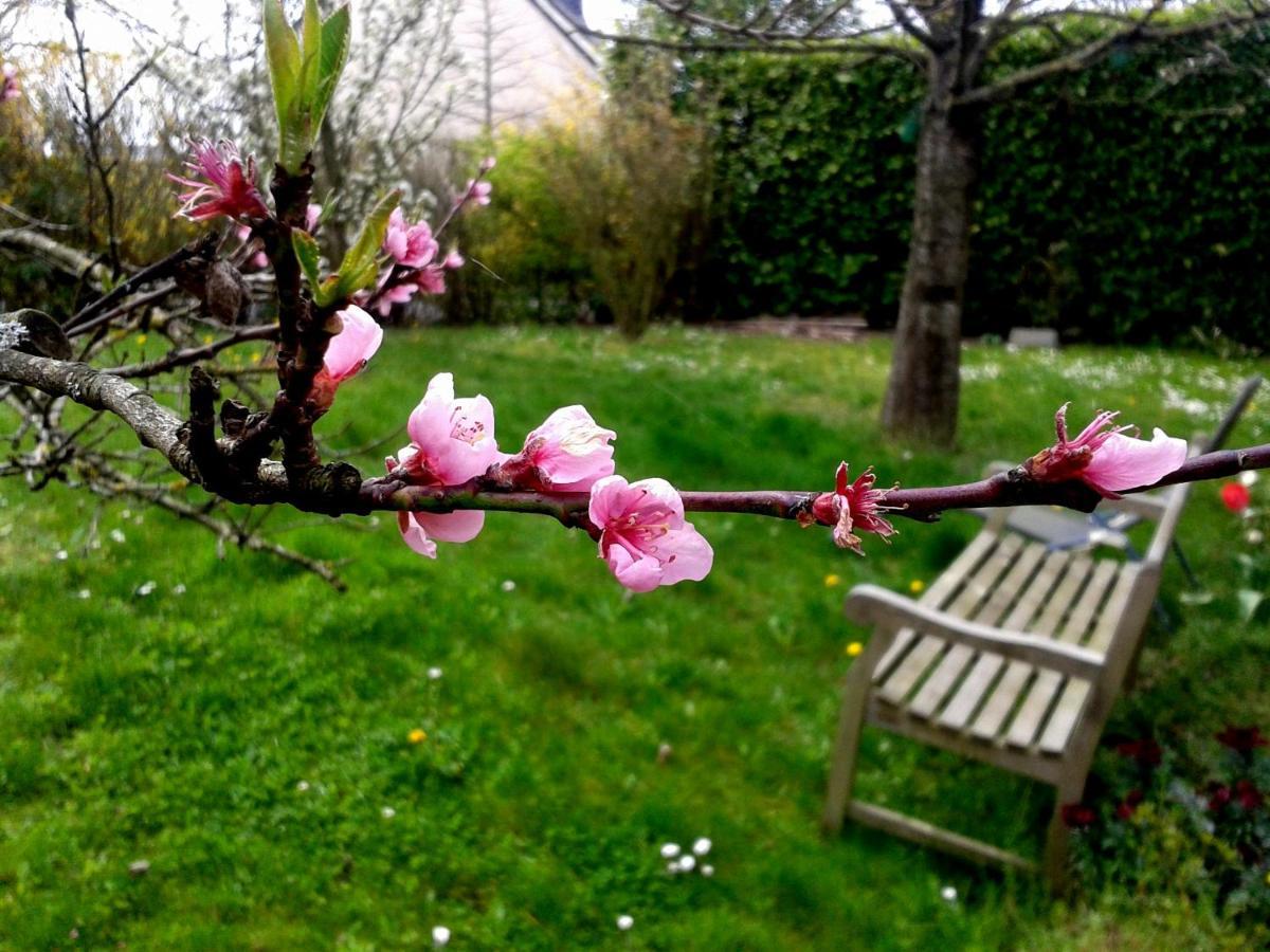 Maison La Chapelle Bed & Breakfast Eksteriør bilde